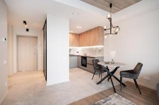 Luxury apartment near downtown - Vilnius - 2