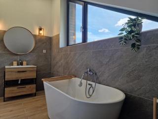 Artizan Chalet - Topliţa - 5