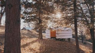 Cosy yurt at a nature retreat in Sequoia Forest - Miramonte - 7