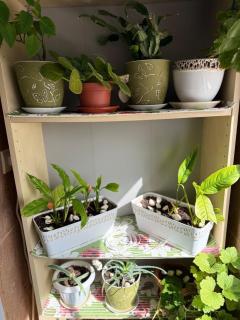 2 bedroom 2 beds flat in Sofia - Sofia - 3