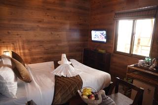 Mango Meadows - Kottayam - 9