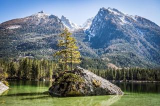 Ferienwohnungen Eder Eder's Watzmannblick - 1