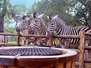 Sounds of Kruger Safari Villa - Marloth Park - 9