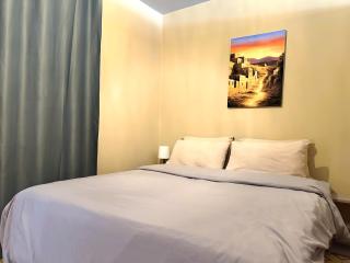 Cosy appartement au super centre ville avec vue partielle sur le parc - 3