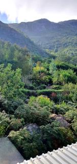 The Green Cabin - Città del Capo - 8