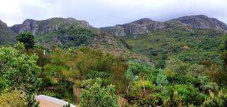 The Green Cabin - Città del Capo - 1