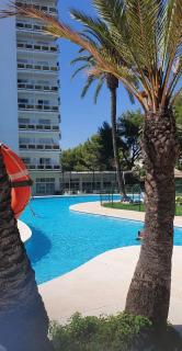 Tu estancia ideal en Nueva Andalucia - Marbella - 2