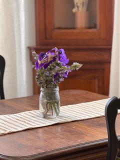 Appartement au cœur du village - Murato - 3