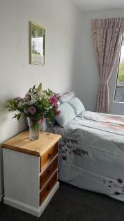 Central located new build 3 bed rooms entire house - Oamaru - 7