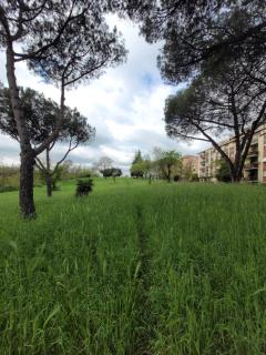 Panoramico Eur - Rome - 9