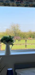 Deerpark Stables - Highstreet - 4