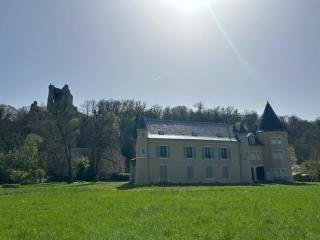 Domaine du Prieuré de Saint Martin à Lavardin - 8