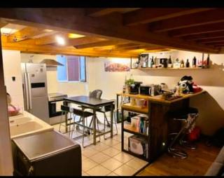 Loft 75m2 - Caluire-et-Cuire - 3