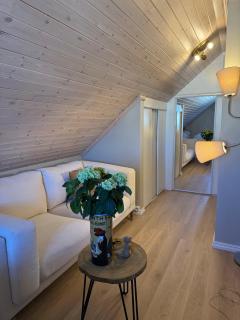 Central penthouse - Larvik - 6