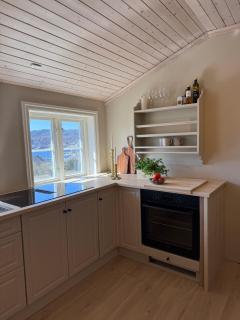 Central penthouse - Larvik - 1