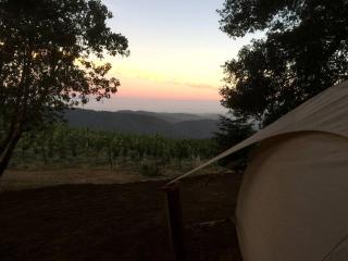 Lotus Yurt in Vineyard Overlooking Monterey Bay near Los Gatos, California - 2