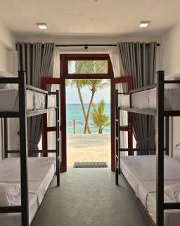 Surfing Tusker - Thalpe - 0