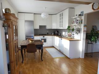 Bright 2 Bedroom Apartment in Reykjavik - 8