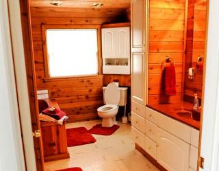 Spacious Lake Cabin Rental with a Private Hot Tub in Ogemaw County, Michigan - 1