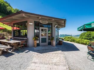 Berggasthof Hotel Duftbräu I Ruhige Alleinlage I Mitten im Grünen - Samerberg - 4
