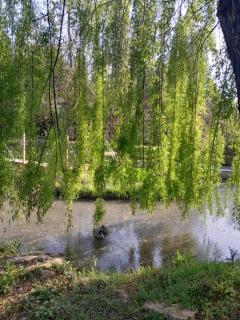 Domaine d'Avalon - Lorgues - 9