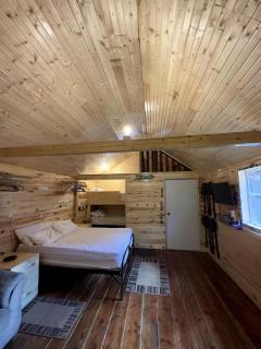 Mountain Serenity: Cozy Glamping Cabin in La Jara, Colorado near Pagosa Springs - - 7