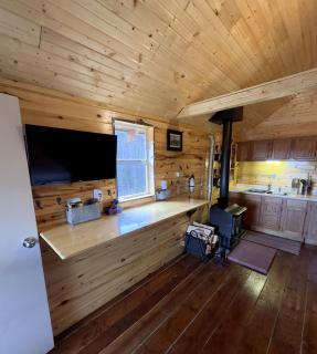 Mountain Serenity: Cozy Glamping Cabin in La Jara, Colorado near Pagosa Springs - - 5