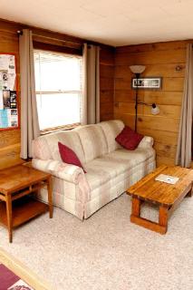 Idyllic Cabin Rental for the Perfect Summer Vacation on Clear Lake in Michigan - Damon - 7