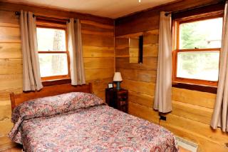 Idyllic Cabin Rental for the Perfect Summer Vacation on Clear Lake in Michigan - Damon - 4
