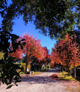 Blue Bird Flat - Bariloche - 7