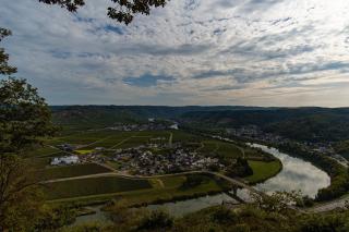 Fewo Rieslingglück - Urlaub im Wein- und Ferienort Bekond - Bekond - 3