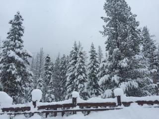 Wolf Rock Home 82 by SummitCove Lodging - Keystone - 9