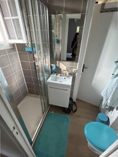 CAPBRETON. Villa ALAMEAT avec 3 chambres .Climatisation. Wifi gratuit. - Capbreton - 3