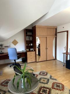Cozy 1-room apartment - Timişoara - 7