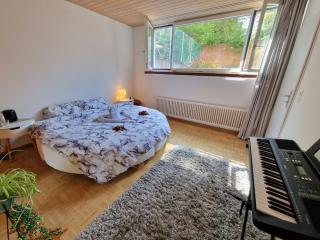 The Artistic Corner by the Rhine Wakable to Major Basel Events like Art Basel ESC and More - Bazel - 9