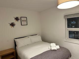1 Bedroom Flat by Haggerston Station - London - 4