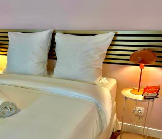 P10 Cosy & Clim-Gare-chambre - Nancy - 2