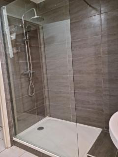 La suite jacuzzi - Pau - 1