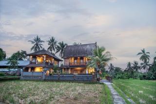Dream villa Rice Fields 2Bedroom Deluxe - Ubud - 5
