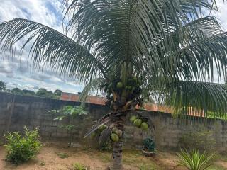 Pousada dos Pinheiros, Carolina-Ma - 7