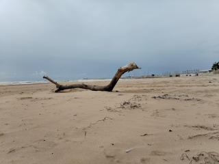 OasiMareBlu - Marina di Ragusa - 7