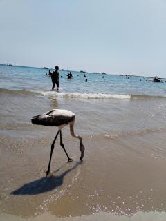 OasiMareBlu - Marina di Ragusa - 3