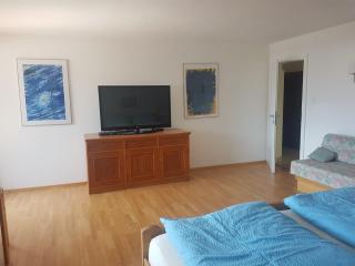 Panorama Appartement - Bad Hofgastein - 2