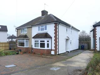 Spacious modern 3 bedroom house 4 you, me and them - Oxford - 0