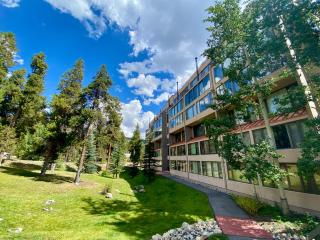 Decatur 1806 by SummitCove Lodging - Keystone - 7