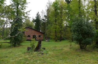 Cabaña en Pucon - Pucón - 8
