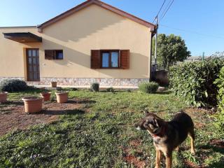 Vacation house Ana - Ližnjan - 9