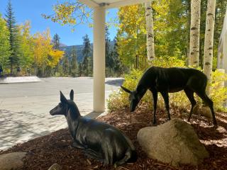 Saints John 2526 by SummitCove Lodging - 1