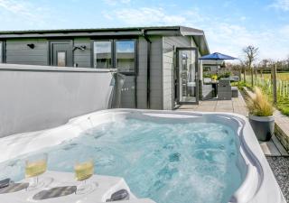 Snowdrop Lodge - Roadford Lake - Broadwoodwidger - 0