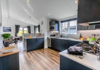 Snowdrop Lodge - Roadford Lake - Broadwoodwidger - 8